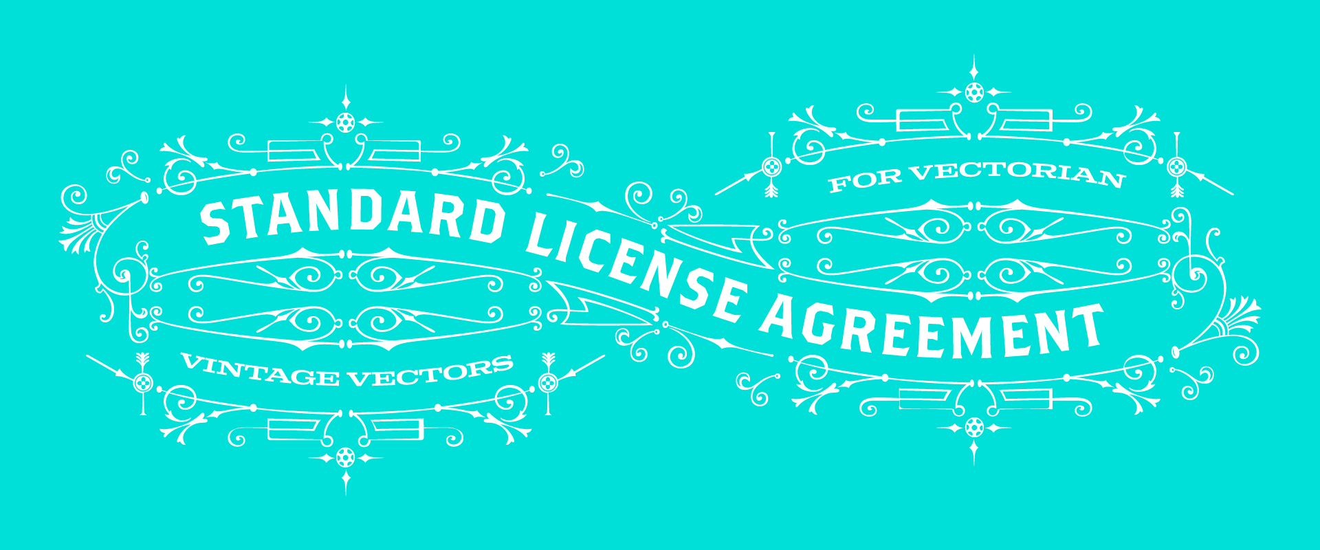 Standard license